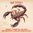 PACK SCORPION - Blonde (x6)